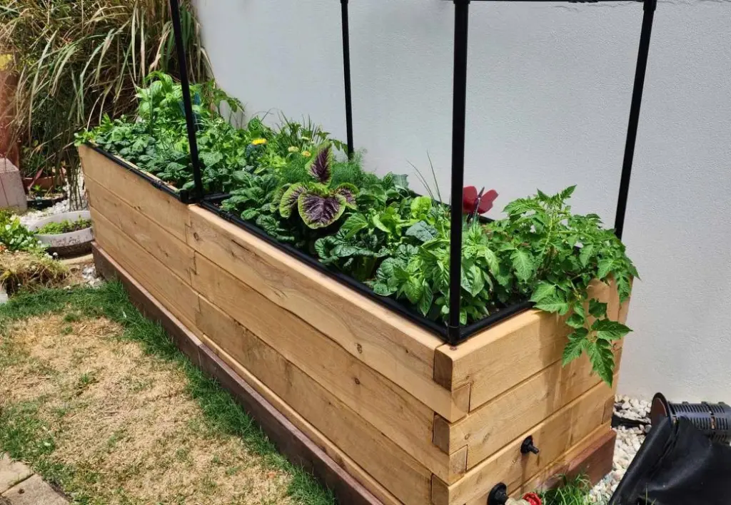 Raised Garden Bed Installation Sunshine Coast