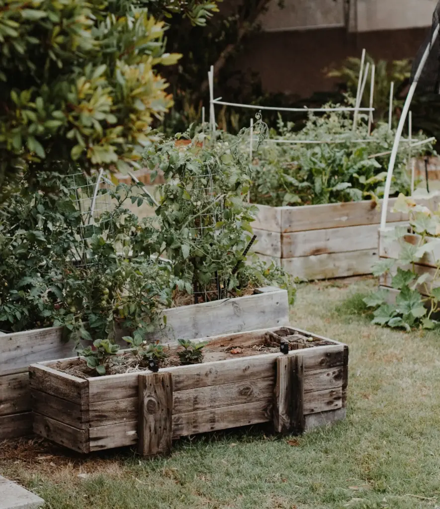 Wooden Raised Garden Bed Installer