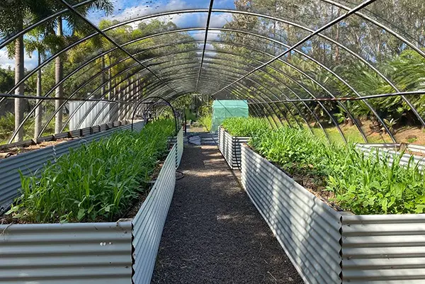 Greener Landscaping Beautiful Raised Garden Beds Sunshine Coast