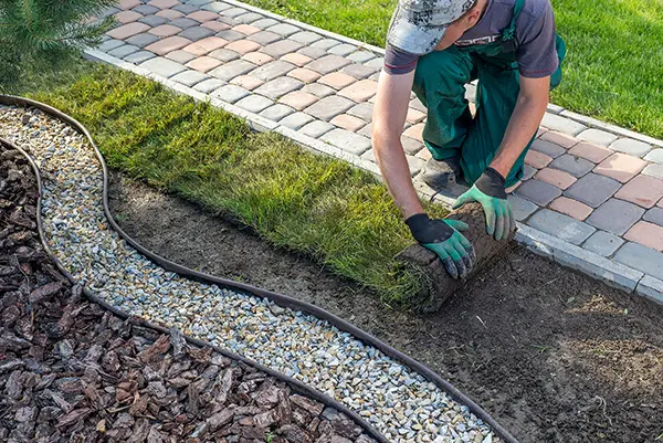 Landscaping professional services Sunshine Coast