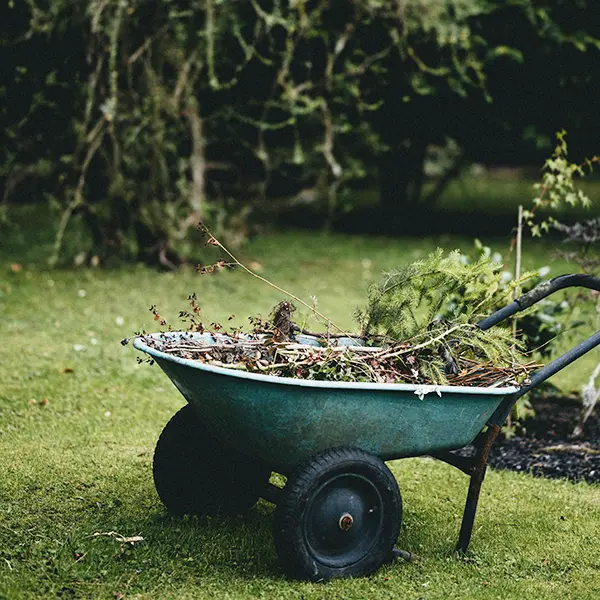 commercial garden clean up services sunshine coast