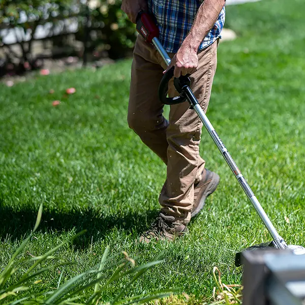 commercial garden project services sunshine coast