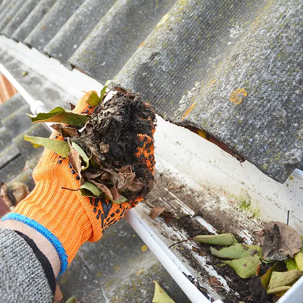 commercial gutter cleaning services sunshine coast