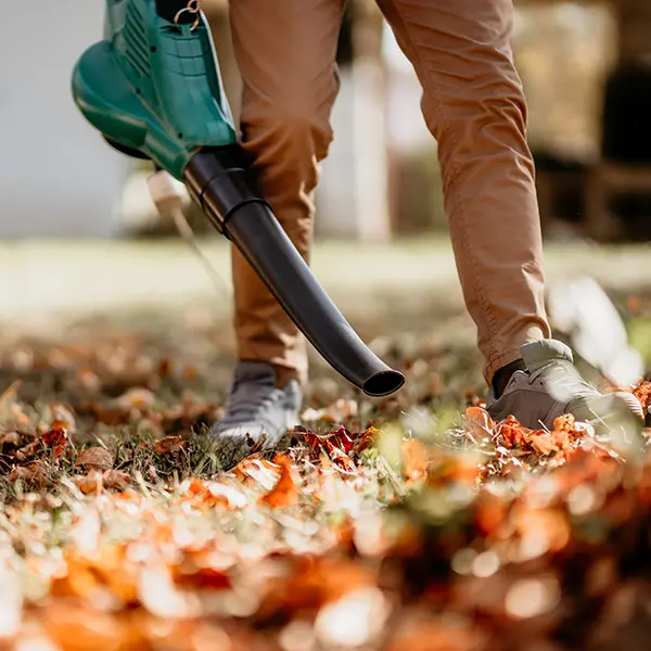 commercial leaf blowing services sunshine coast