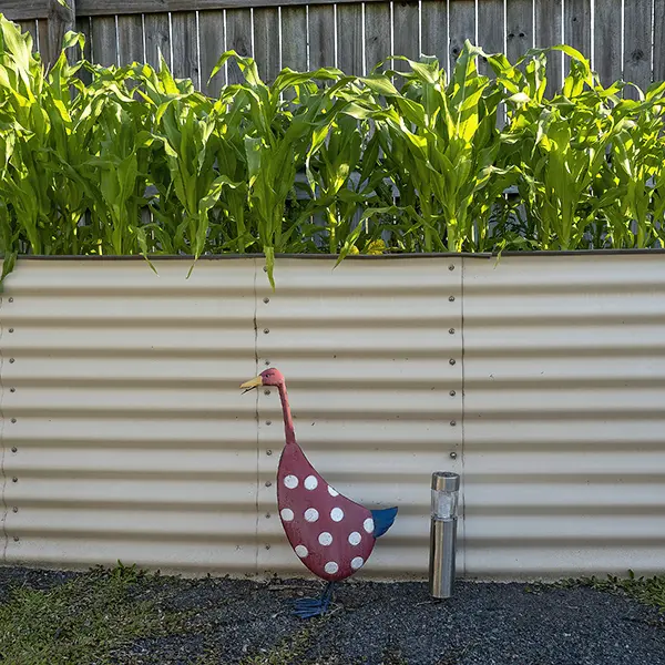 metal raised garden beds sunshine coast