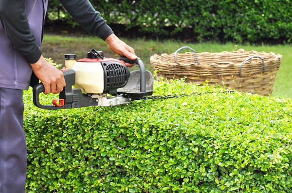 commercial premises garden maintenance hedge trim buderim