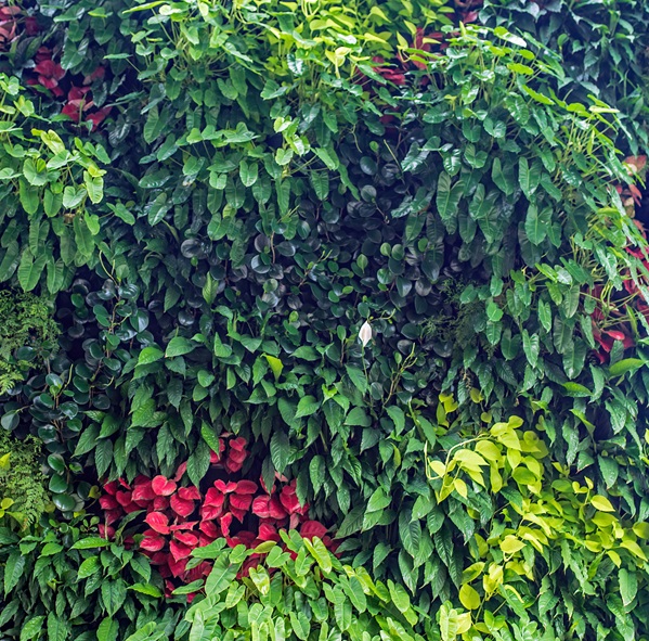 planter walls retaining expert sunshine coast